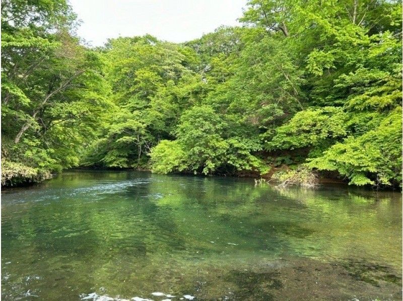 [Hokkaido, Chitose River] [Canadian Canoe Standard Course] Canoe down the crystal clear Chitose River through the lush forestの紹介画像