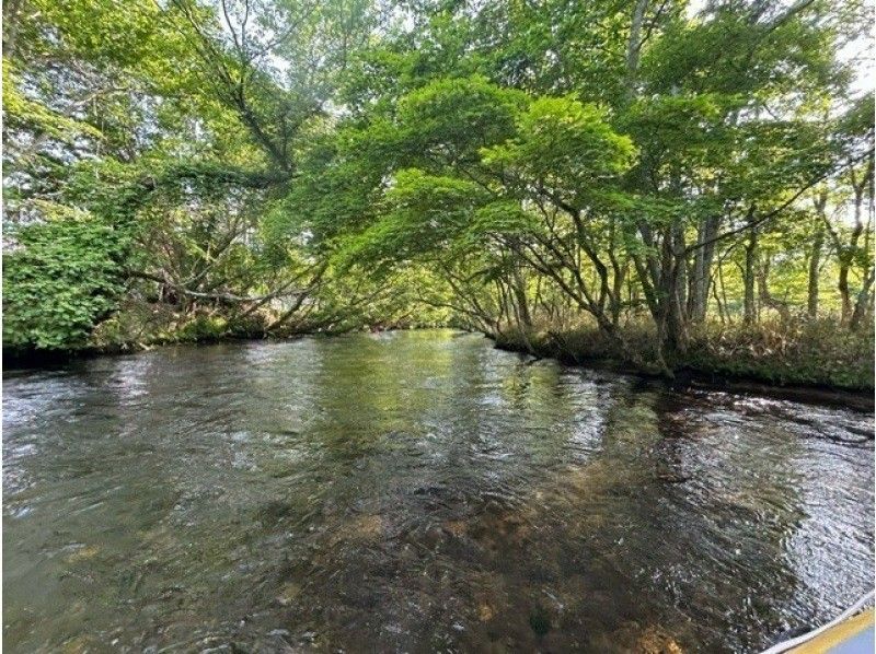 【北海道・千歳川】《カナディアンカヌー　標準コース》鮭の遡上シーズン到来！豊かな森を流れる透明度の高い千歳川をカヌーで優雅に下ろう！の紹介画像