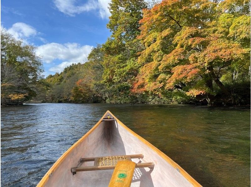 [Hokkaido, Chitose River] [Canadian Canoe Short Course] Try riding a Canadian canoe on the crystal clear river!の紹介画像