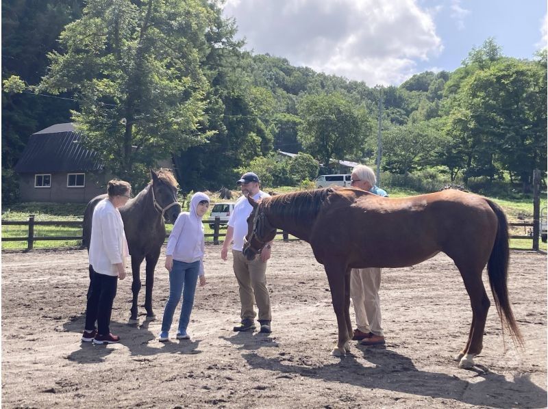 [Hokkaido, Sapporo] Horse Dialogue Program for Family ~Strengthening family relationships through horses~ *No horse ridingの紹介画像