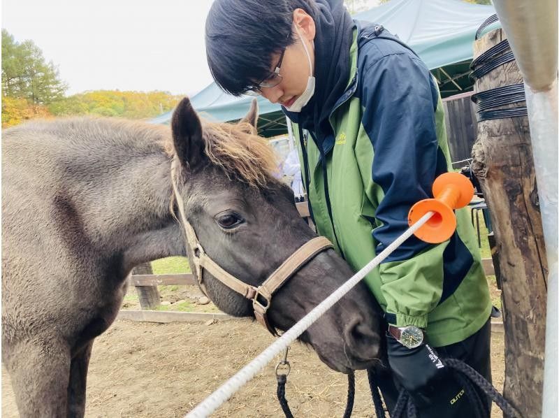 [Hokkaido, Sapporo] Horse Dialogue Program for Young ~Special program for people in their teens and twenties to get to know themselves~ *No horse riding includedの紹介画像