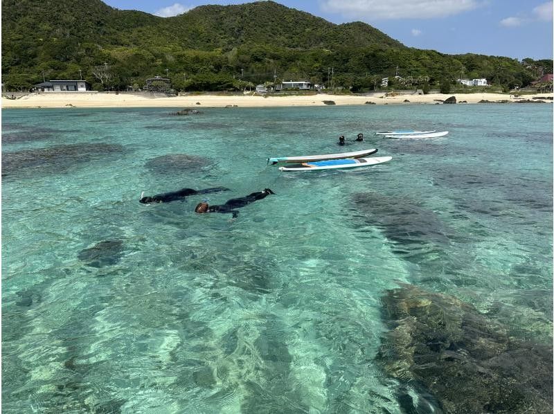 【鹿児島県・奄美市】　奄美大島ウミガメシュノーケルツアー、ショップ前ビーチで階段下りたらそこがポイント！サップボード牽引で泳ぎ苦手でもOKの紹介画像