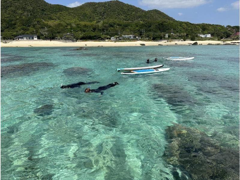 【鹿児島県・奄美市】　奄美大島ウミガメシュノーケルツアー、ショップ前ビーチで階段下りたらそこがポイント！サップボード牽引で泳ぎ苦手でもOKの紹介画像