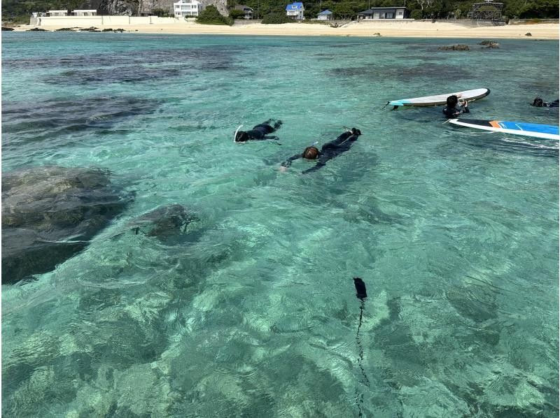 奄美大島ウミガメを探すシュノーケルツアー（小学生から～70代まで）Kazboショップ前の用安ビーチで階段下りたらそこがポイント便利、安心安全の紹介画像