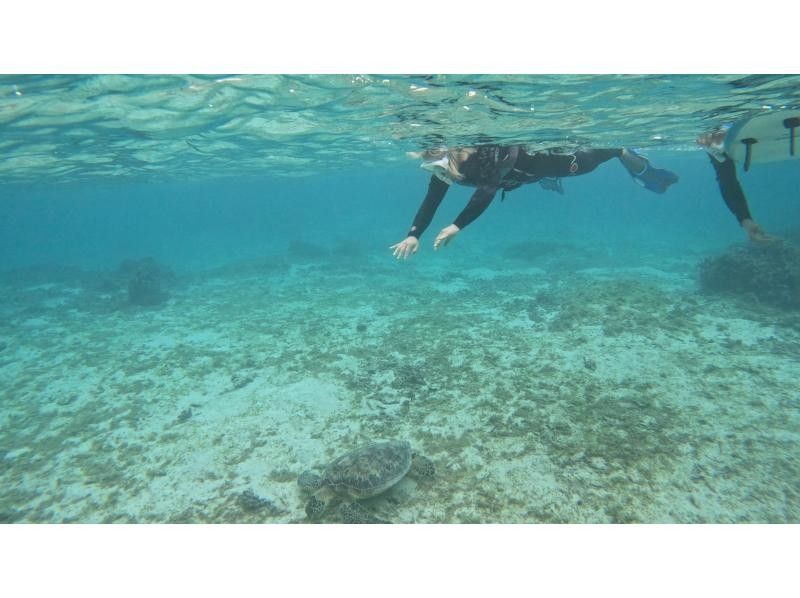 奄美大島ウミガメシュノーケルツアー⭐️クチコミ投稿でGoPro13の動画プレゼント、ショップ前の用安ビーチで階段下りたらそこがポイントの紹介画像