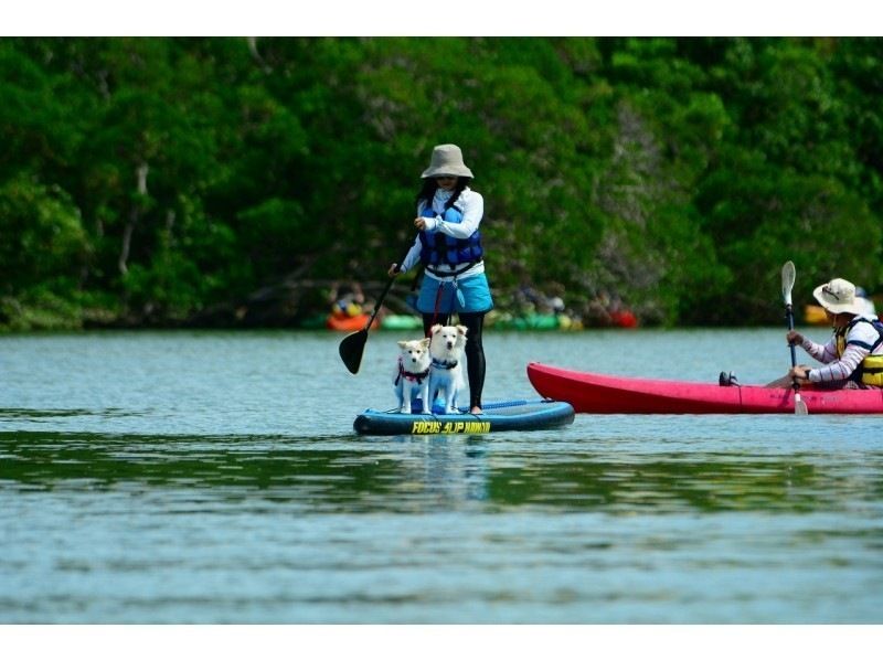 [Private guide plan!] {Mangrove SUP} A completely private space for your family and friends ☆ Participation by 4 or more people! Hot water shower and hair dryer provided ★の紹介画像