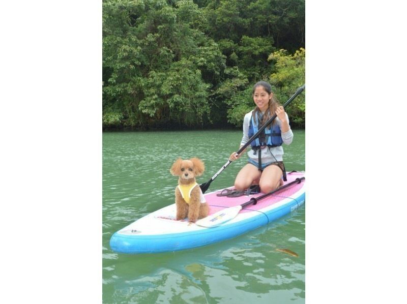 [Private guide plan!] {Mangrove SUP} A completely private space for your family and friends ☆ Participation by 4 or more people! Hot water shower and hair dryer provided ★の紹介画像