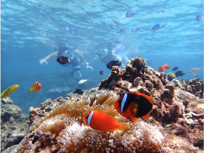 SALE! ☆Participation OK up to age 80☆No.1 in private rental satisfaction!?☆Impressive snorkeling tour☆Waterproof camera rental included [Miyakojima・Private rental for one group]の紹介画像