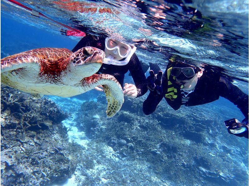 ☆ผู้เข้าร่วมที่มีอายุไม่เกิน 80 ปี ☆ความพึงพอใจอันดับ 1 ด้านการเช่าแบบส่วนตัว ☆ทัวร์ดำน้ำตื้นที่น่าประทับใจ ☆รวมค่าเช่ากล้องกันน้ำ [มิยาโกจิม่า เช่าแบบส่วนตัวสำหรับกลุ่มเดียว]の紹介画像