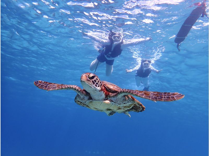 SALE! ☆Participation OK up to age 80☆No.1 in private rental satisfaction!?☆Impressive snorkeling tour☆Waterproof camera rental included [Miyakojima・Private rental for one group]の紹介画像