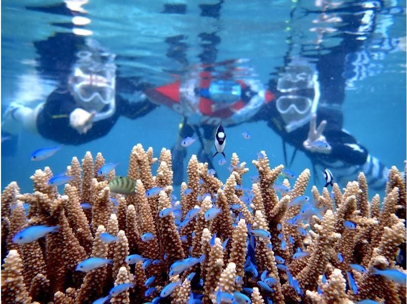 ☆ผู้เข้าร่วมที่มีอายุไม่เกิน 80 ปี ☆ความพึงพอใจอันดับ 1 ด้านการเช่าแบบส่วนตัว ☆ทัวร์ดำน้ำตื้นที่น่าประทับใจ ☆รวมค่าเช่ากล้องกันน้ำ [มิยาโกจิม่า เช่าแบบส่วนตัวสำหรับกลุ่มเดียว]の紹介画像