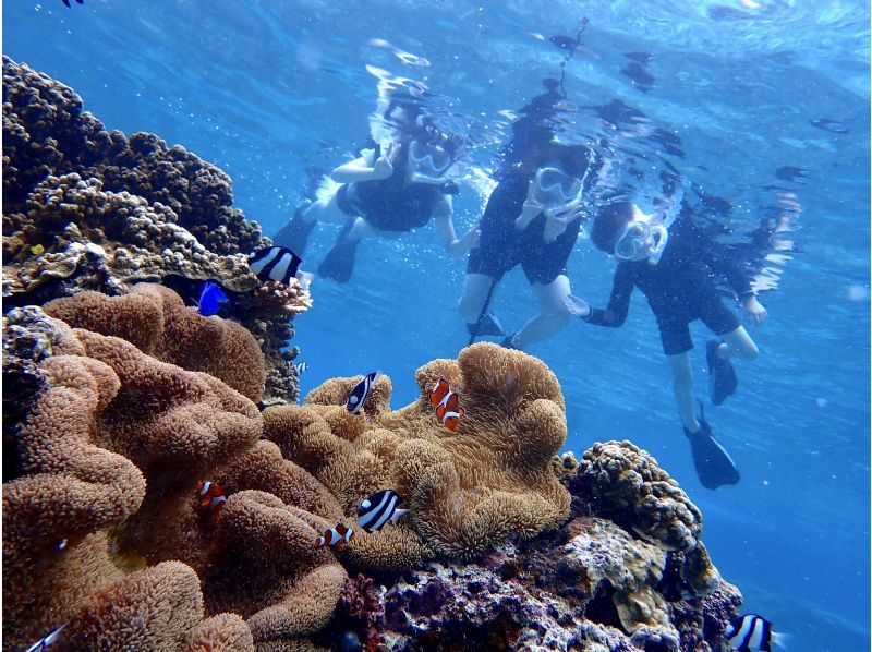 SALE! ☆Participation OK up to age 80☆No.1 in private rental satisfaction!?☆Impressive snorkeling tour☆Waterproof camera rental included [Miyakojima・Private rental for one group]の紹介画像