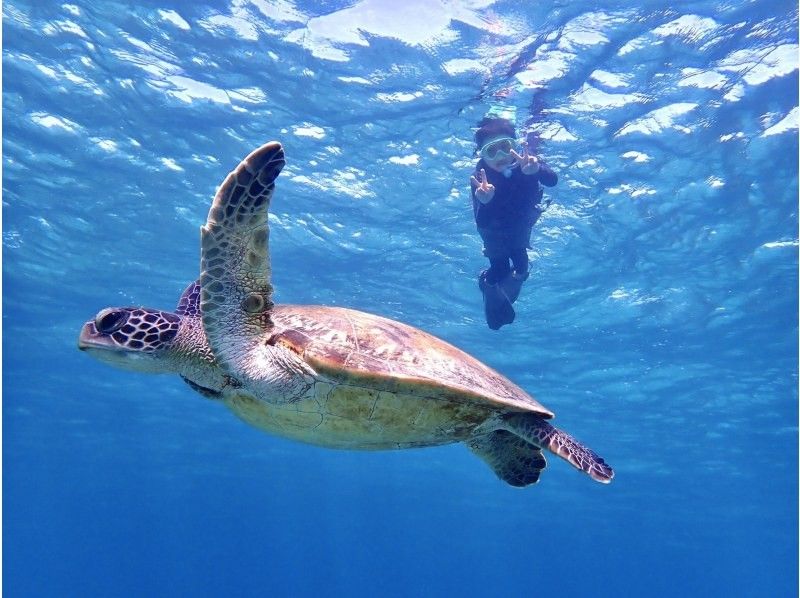 Super Summer Sale 2024 [Miyakojima, 1 group reservation] Participation available for those 60 years old and over ☆ Cheapest reservation?! Impressive snorkeling tour ☆の紹介画像