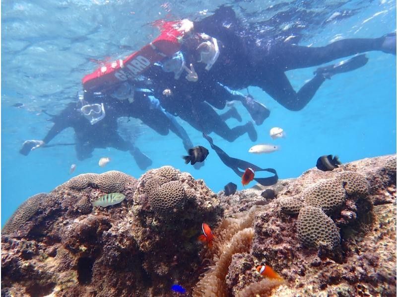 SALE! ☆Participation OK up to age 80☆No.1 in private rental satisfaction!?☆Impressive snorkeling tour☆Waterproof camera rental included [Miyakojima・Private rental for one group]の紹介画像