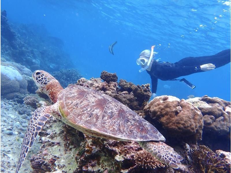 ☆ผู้เข้าร่วมที่มีอายุไม่เกิน 80 ปี ☆ความพึงพอใจอันดับ 1 ด้านการเช่าแบบส่วนตัว ☆ทัวร์ดำน้ำตื้นที่น่าประทับใจ ☆รวมค่าเช่ากล้องกันน้ำ [มิยาโกจิม่า เช่าแบบส่วนตัวสำหรับกลุ่มเดียว]の紹介画像