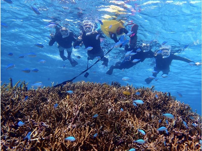 ☆ผู้เข้าร่วมที่มีอายุไม่เกิน 80 ปี ☆ความพึงพอใจอันดับ 1 ด้านการเช่าแบบส่วนตัว ☆ทัวร์ดำน้ำตื้นที่น่าประทับใจ ☆รวมค่าเช่ากล้องกันน้ำ [มิยาโกจิม่า เช่าแบบส่วนตัวสำหรับกลุ่มเดียว]の紹介画像