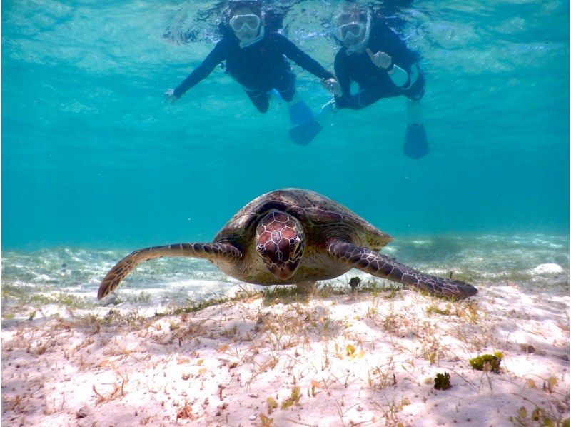 ☆ผู้เข้าร่วมที่มีอายุไม่เกิน 80 ปี ☆ความพึงพอใจอันดับ 1 ด้านการเช่าแบบส่วนตัว ☆ทัวร์ดำน้ำตื้นที่น่าประทับใจ ☆รวมค่าเช่ากล้องกันน้ำ [มิยาโกจิม่า เช่าแบบส่วนตัวสำหรับกลุ่มเดียว]の紹介画像