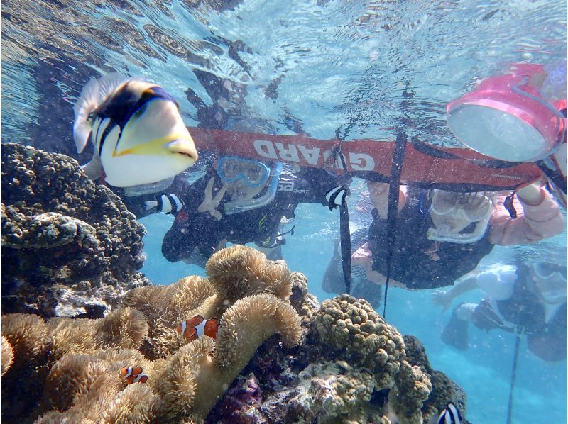 ☆ผู้เข้าร่วมที่มีอายุไม่เกิน 80 ปี ☆ความพึงพอใจอันดับ 1 ด้านการเช่าแบบส่วนตัว ☆ทัวร์ดำน้ำตื้นที่น่าประทับใจ ☆รวมค่าเช่ากล้องกันน้ำ [มิยาโกจิม่า เช่าแบบส่วนตัวสำหรับกลุ่มเดียว]の紹介画像