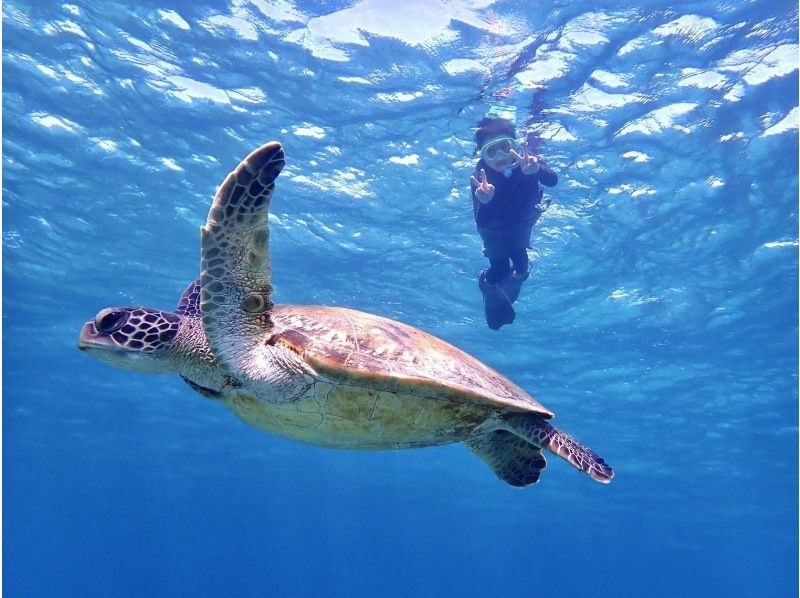 SALE! ☆Participation OK up to age 80☆No.1 in private rental satisfaction!?☆Impressive snorkeling tour☆Waterproof camera rental included [Miyakojima・Private rental for one group]の紹介画像