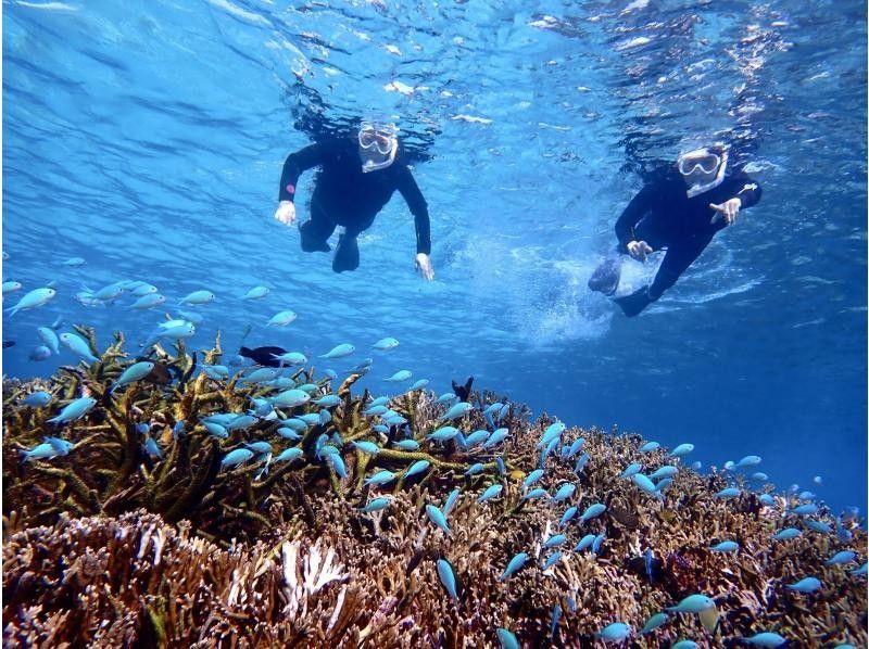 ☆ผู้เข้าร่วมที่มีอายุไม่เกิน 80 ปี ☆ความพึงพอใจอันดับ 1 ด้านการเช่าแบบส่วนตัว ☆ทัวร์ดำน้ำตื้นที่น่าประทับใจ ☆รวมค่าเช่ากล้องกันน้ำ [มิยาโกจิม่า เช่าแบบส่วนตัวสำหรับกลุ่มเดียว]の紹介画像