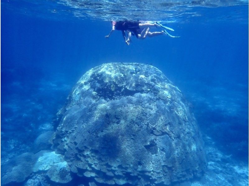 ☆ผู้เข้าร่วมที่มีอายุไม่เกิน 80 ปี ☆ความพึงพอใจอันดับ 1 ด้านการเช่าแบบส่วนตัว ☆ทัวร์ดำน้ำตื้นที่น่าประทับใจ ☆รวมค่าเช่ากล้องกันน้ำ [มิยาโกจิม่า เช่าแบบส่วนตัวสำหรับกลุ่มเดียว]の紹介画像