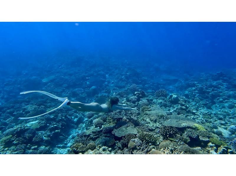 【沖繩東岸】私人浮潛點，與魚兒一起暢遊！一日私人遊船之旅[300分鐘]の紹介画像