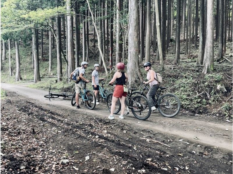 [Hakone] Deep Forest Cruising Tour [MTB]の紹介画像