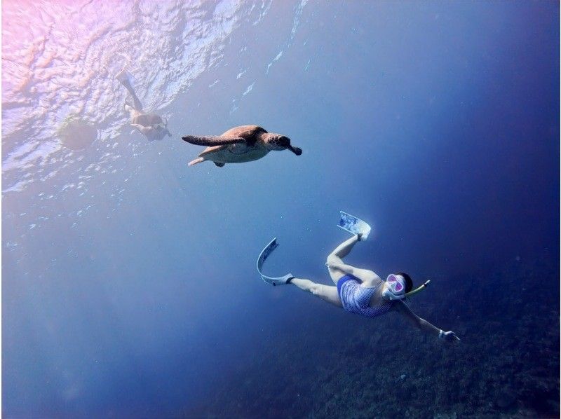 [Okinawa, Sesoko Island] NEW Menu Skin diving has started at Sesoko Island, where sea turtles live! Free rental of cute long fins ♪ Free 4K camera shooting!の紹介画像
