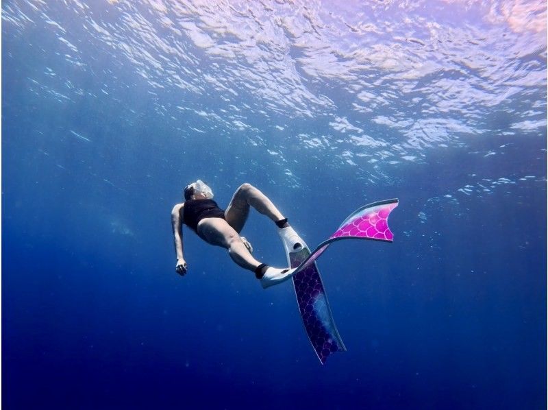 [Okinawa, Sesoko Island] NEW Menu Skin diving has started at Sesoko Island, where sea turtles live! Free rental of cute long fins ♪ Free 4K camera shooting!の紹介画像