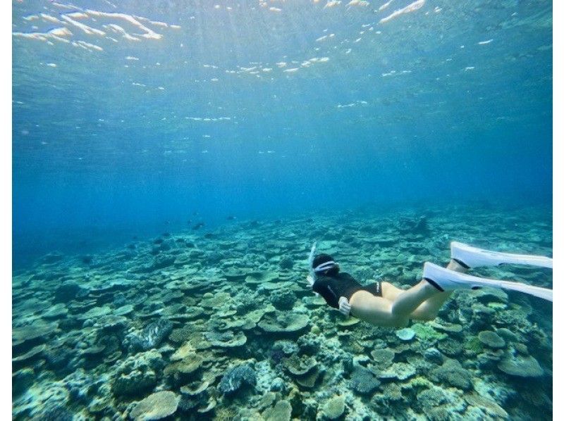 [Okinawa, Sesoko Island] NEW Menu Skin diving has started at Sesoko Island, where sea turtles live! Free rental of cute long fins ♪ Free 4K camera shooting!の紹介画像