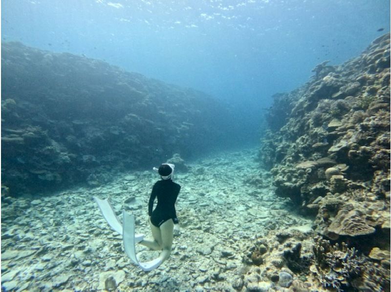 沖縄 瀬底島 ウミガメが棲む瀬底島でスキンダイビング ＜可愛いロングフィンレンタル無料／４Kカメラ撮影無料＞