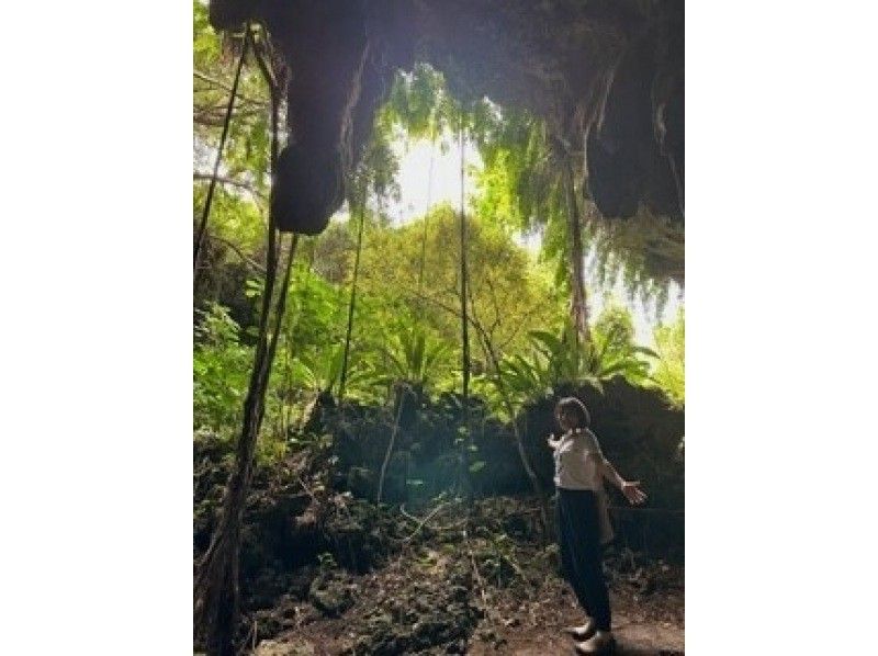 [沖繩/宮古島]接觸大自然！海邊、洞穴、展望台等步行遊覽・1小時30分鐘路線/歡迎家庭、朋友、情侶、獨行旅客、兒童の紹介画像