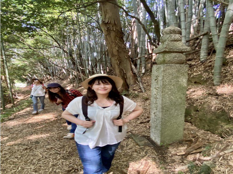 [Wakayama, Koyacho/Kudoyamacho/Katsuragicho] Historical road where Kobo Daishi also walked ~ World Heritage Town Stone Path Walkの紹介画像