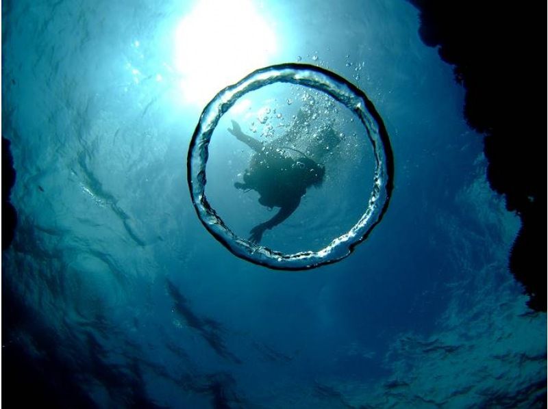 【★沖縄・石垣島】水中カメラマンが撮る！　透明度抜群の水中世界で潜っている姿を思い出に残しませんか？の紹介画像