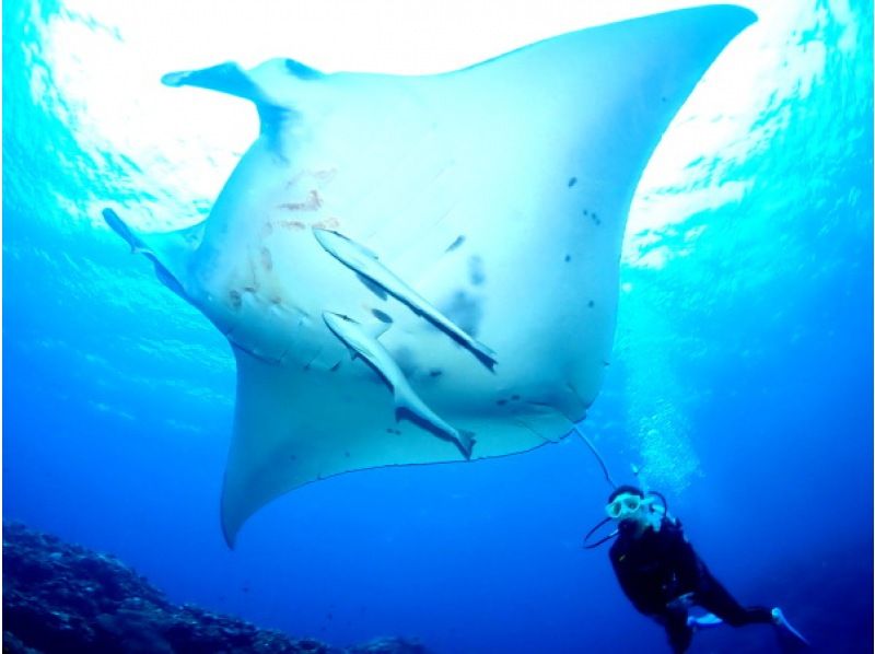 【★沖縄・石垣島】水中カメラマンが撮る！　透明度抜群の水中世界で潜っている姿を思い出に残しませんか？の紹介画像