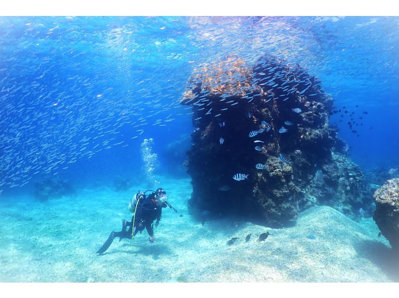 【★沖縄・石垣島】水中カメラマンが撮る！　透明度抜群の水中世界で潜っている姿を思い出に残しませんか？の紹介画像