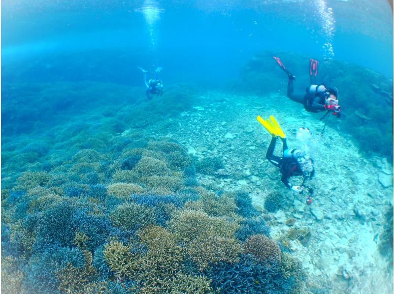 【★沖縄・石垣島】水中カメラマンが撮る！　透明度抜群の水中世界で潜っている姿を思い出に残しませんか？の紹介画像