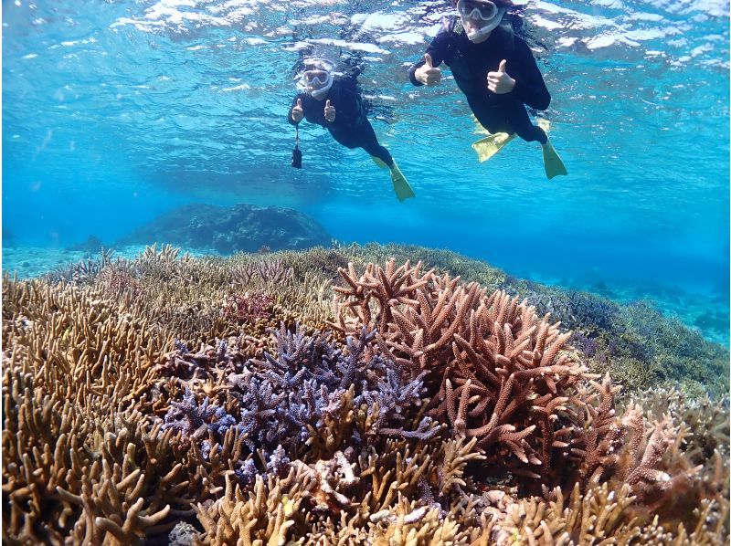 【宮古島】《高性能水中カメラでSNS映え♡》自然の魅力が溢れる水中の楽園で熱帯魚と珊瑚シュノーケル★当日予約OK！の紹介画像