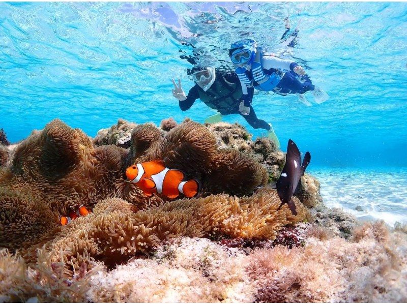 【宮古島】スーパーサマーセール2024《高性能カメラでSNS映え♡》自然の魅力が溢れる水中の楽園で熱帯魚と珊瑚シュノーケル★当日予約OK！の紹介画像
