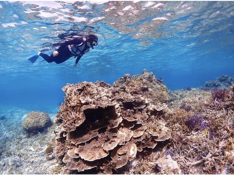 [Miyakojima] {Look great on social media with a high-performance underwater camera♡} Snorkel with tropical fish and coral in an underwater paradise overflowing with the charm of nature ★ Same-day reservations accepted!の紹介画像
