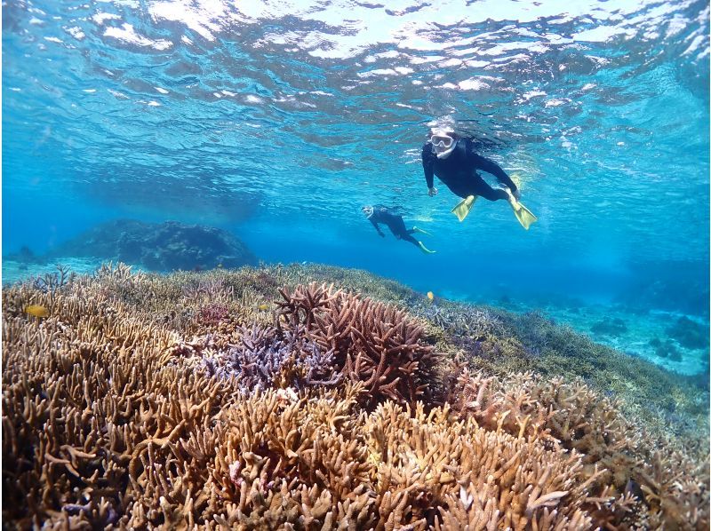 【宮古島】《高性能水中カメラでSNS映え♡》自然の魅力が溢れる水中の楽園で熱帯魚と珊瑚シュノーケル★当日予約OK！の紹介画像