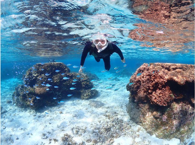 Miyakojima {Look great on social media with a high-performance underwater camera♡} In an underwater paradise filled with the charm of nature [Tropical fish and coral snorkeling] ★Reservations available on the day! ★Free photo data!の紹介画像