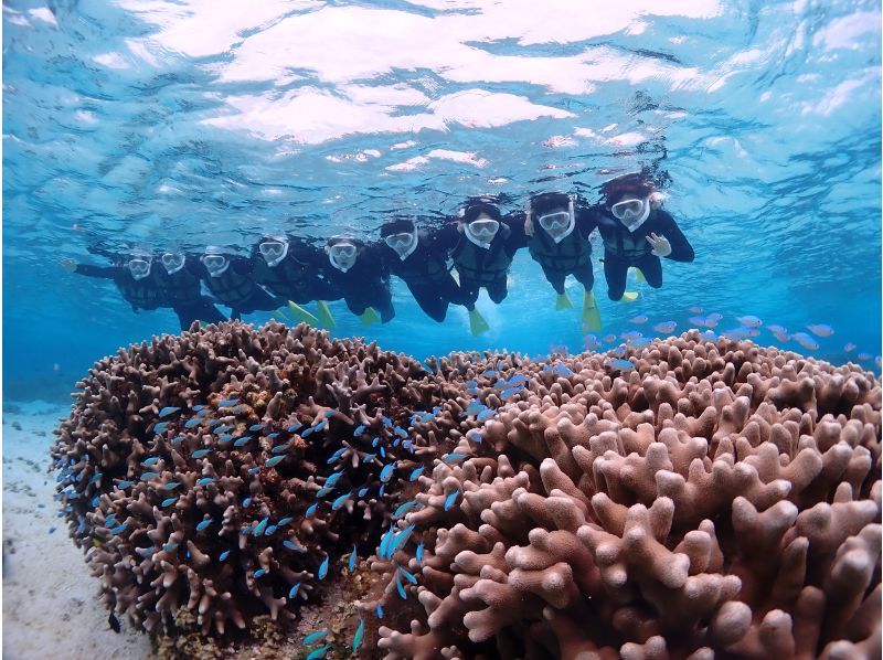 Miyakojima {Look great on social media with a high-performance underwater camera♡} In an underwater paradise filled with the charm of nature [Tropical fish and coral snorkeling] ★Reservations available on the day! ★Free photo data!の紹介画像