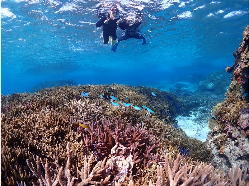 宮古島《高性能水中カメラでSNS映え♡》自然の魅力が溢れる水中の楽園で【熱帯魚と珊瑚シュノーケリング】★当日予約OK！★撮影データ無料！の紹介画像