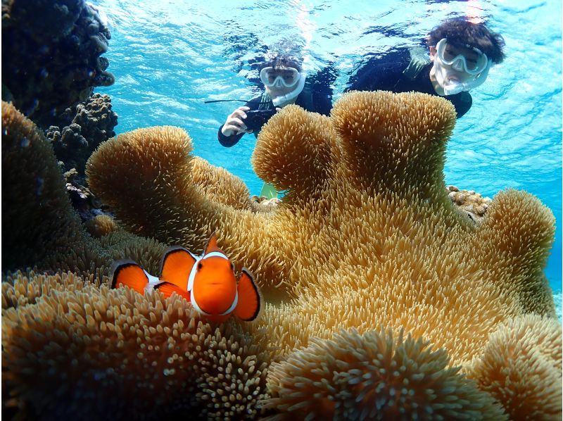 宮古島《高性能水中カメラでSNS映え♡》自然の魅力が溢れる水中の楽園で【熱帯魚と珊瑚シュノーケリング】★当日予約OK！★撮影データ無料！の紹介画像