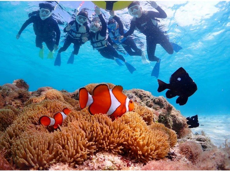 Miyakojima {Look great on social media with a high-performance underwater camera♡} In an underwater paradise filled with the charm of nature [Tropical fish and coral snorkeling] ★Reservations available on the day! ★Free photo data!の紹介画像