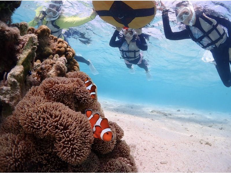 Miyakojima {Look great on social media with a high-performance underwater camera♡} In an underwater paradise filled with the charm of nature [Tropical fish and coral snorkeling] ★Reservations available on the day! ★Free photo data!の紹介画像