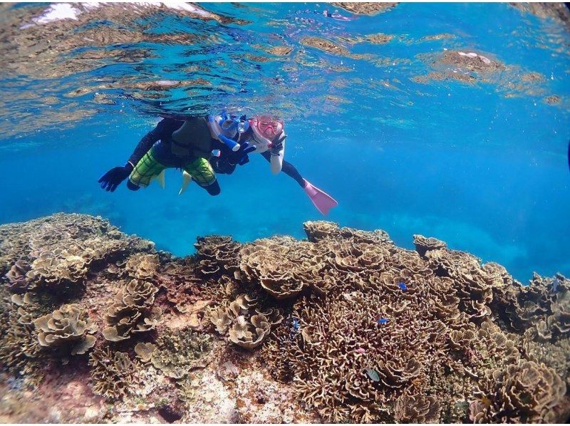 宮古島《完全貸切》自然の魅力が溢れる水中の楽園で【熱帯魚と珊瑚シュノーケリング】★当日予約OK！★高性能水中カメラで撮影！★撮影データ無料！の紹介画像