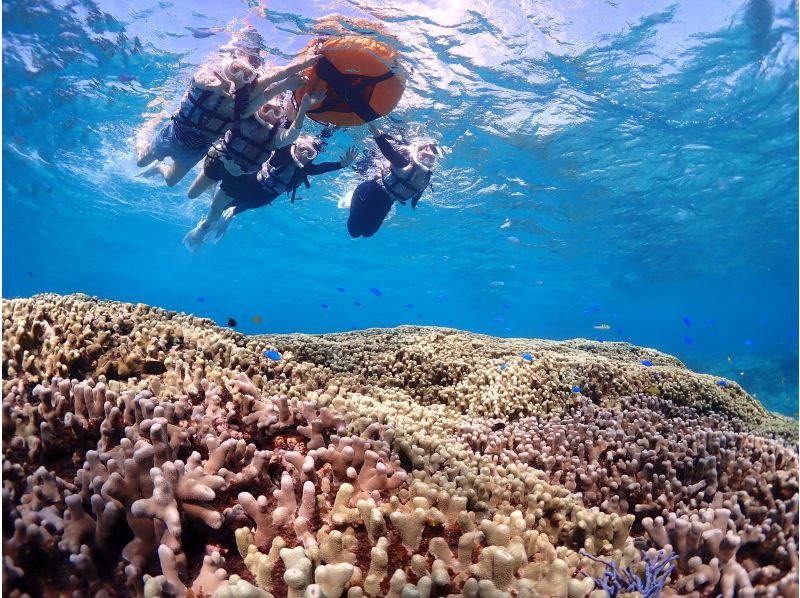 SALE！【宮古島】《完全貸切》自然の魅力が溢れる水中の楽園で熱帯魚と珊瑚シュノーケル★当日予約OK！の紹介画像