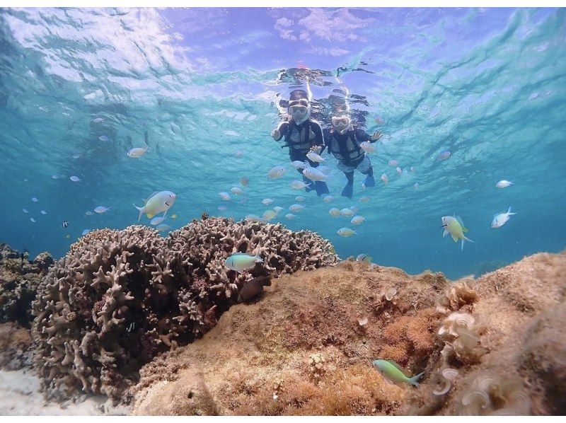 宮古島《完全貸切》自然の魅力が溢れる水中の楽園で【熱帯魚と珊瑚シュノーケリング】★当日予約OK！★高性能水中カメラで撮影！★撮影データ無料！の紹介画像